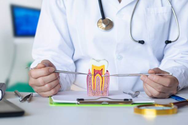 Best After-Hours Emergency Dentist in Delisle, MS